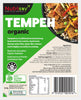 Nutrisoy Organic Plain Tempeh 300g