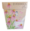 Sow 'N Sow Gift of Seeds Echinacea