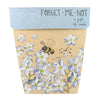 Sow 'N Sow Gift of Seeds Forget Me Not