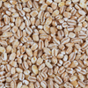 Organic Pearled Barley (16005)