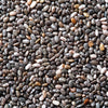 Organic Chia Seeds Black (13002)